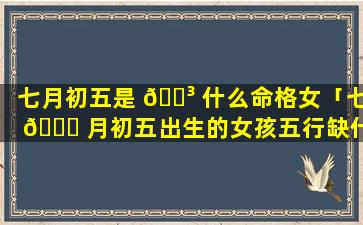 七月初五是 🌳 什么命格女「七 🐎 月初五出生的女孩五行缺什么」